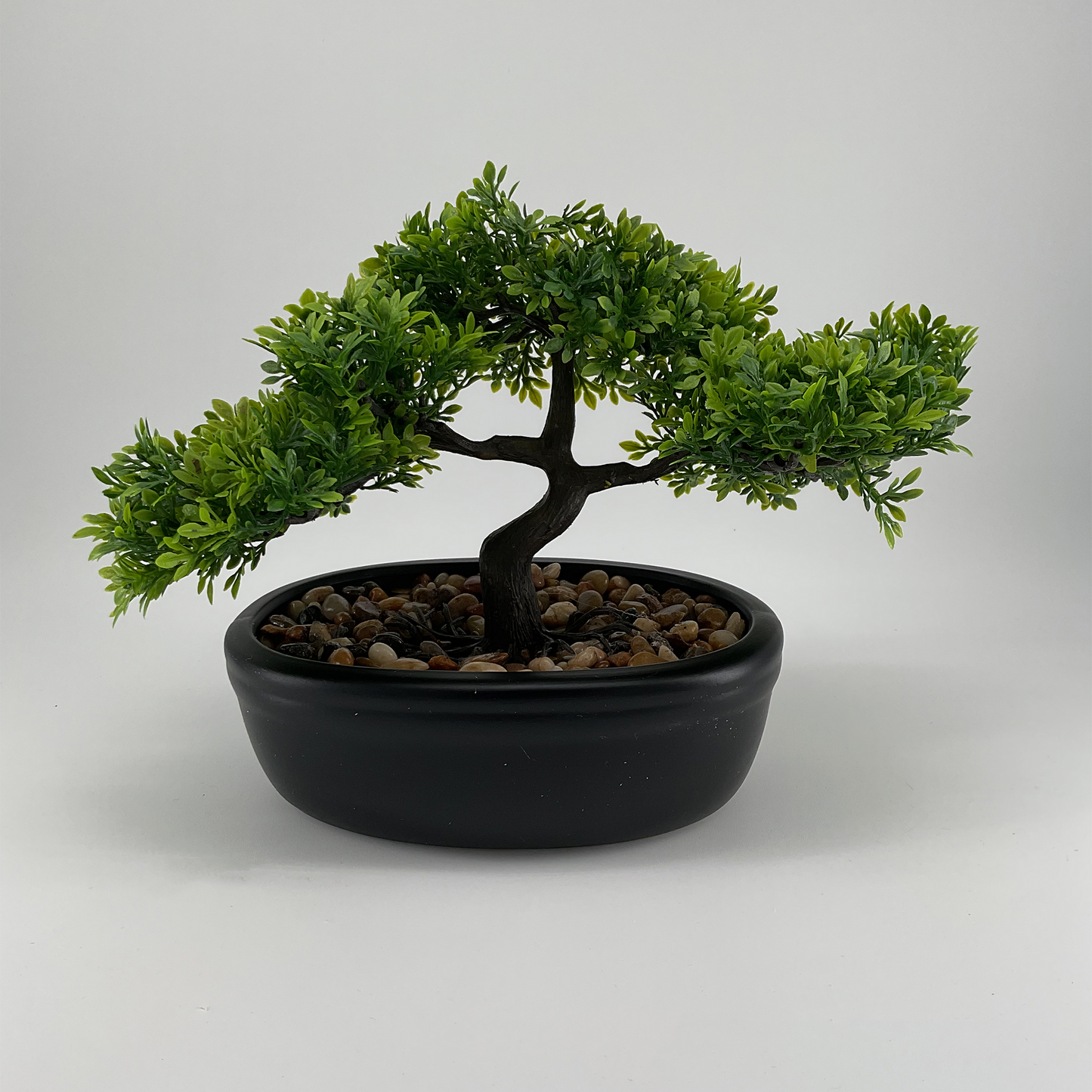 Bonsai Tree in Ceramic Pot Green (8")