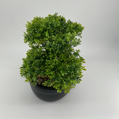 Bonsai Tree in Ceramic Pot Green (8")