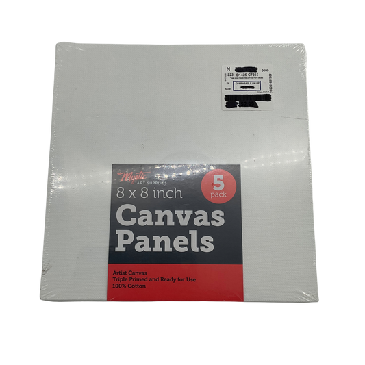 Canvas Panel (8 x 8 inches) - 2 pack