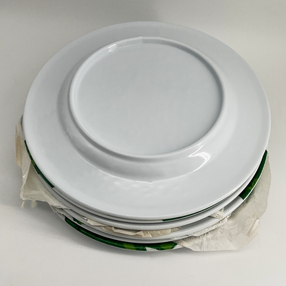 Toucans Giant Plates (11") - 6 Pieces
