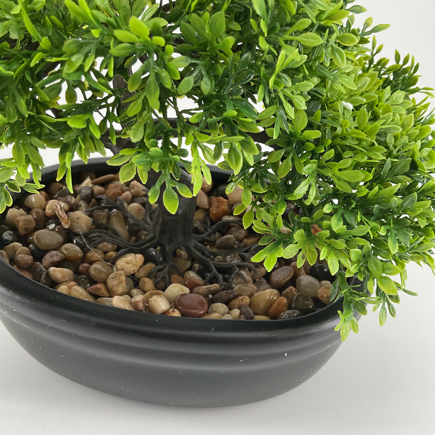 Bonsai Tree in Ceramic Pot Green (8")