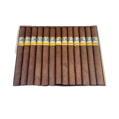 Cohiba Esplendido Habanos with Handmade Wooden Box - 26 Count