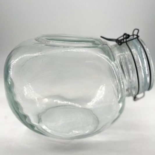 Glass Container 12" with Hinge Lid