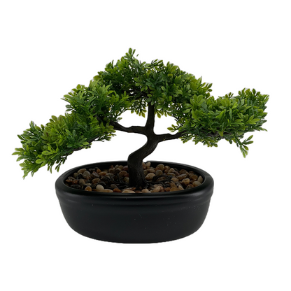 Bonsai Tree in Ceramic Pot Green (8")