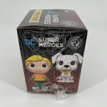 DC Super Heroes and Pets Mystery Minis Toy